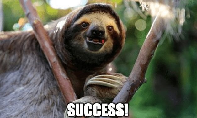 Sloth Success